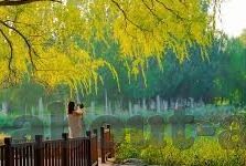 19o足球比分-19O足球比分背后的激情与策略，一场绿茵场上的数据盛宴