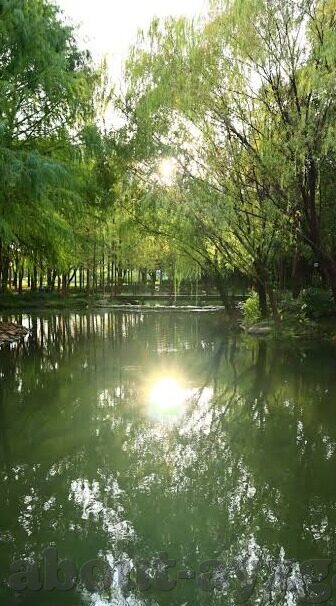 足球日本对卡塔尔比分-绿茵烽火，日本与卡塔尔的巅峰对决及比分背后